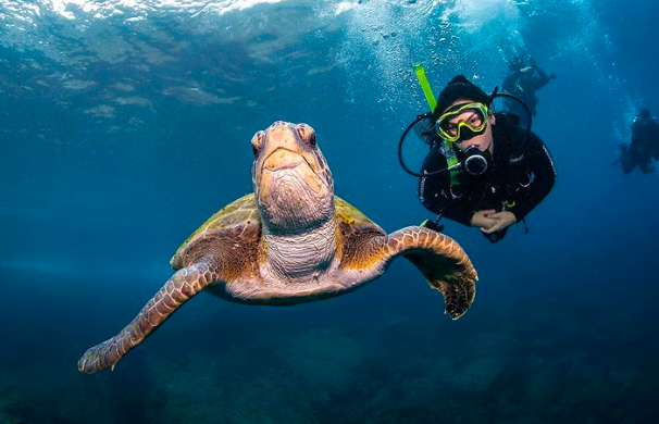 MERGULHO PARA CREDENCIADOS NA ILHA DE ÂNCORA EM BÚZIOS