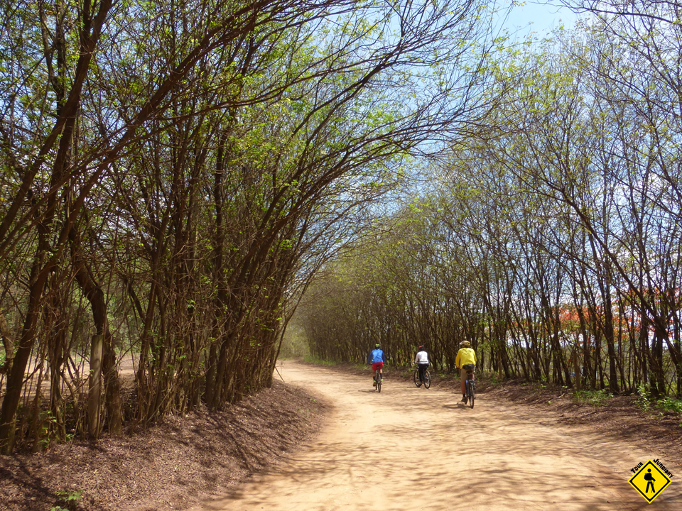 Pedal Circuito Das Frutas 19 a 21/8