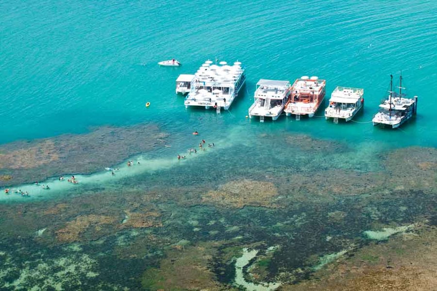 Piscinas Naturais do Picãozinho – Passeio de Catamarã em João Pessoa