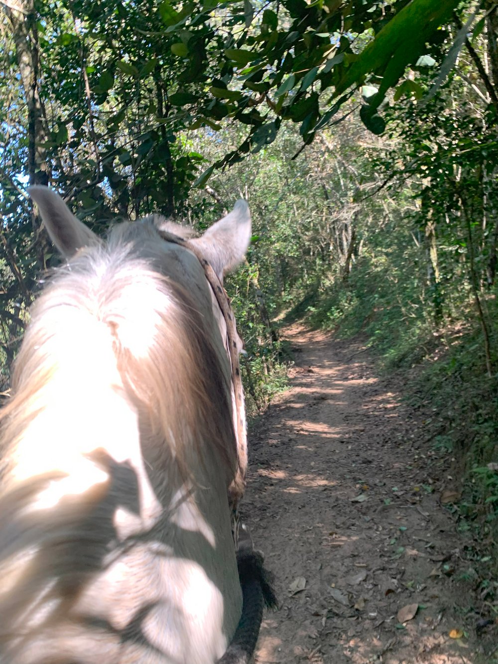 Cavalgada em Tiradentes e Resende Costa