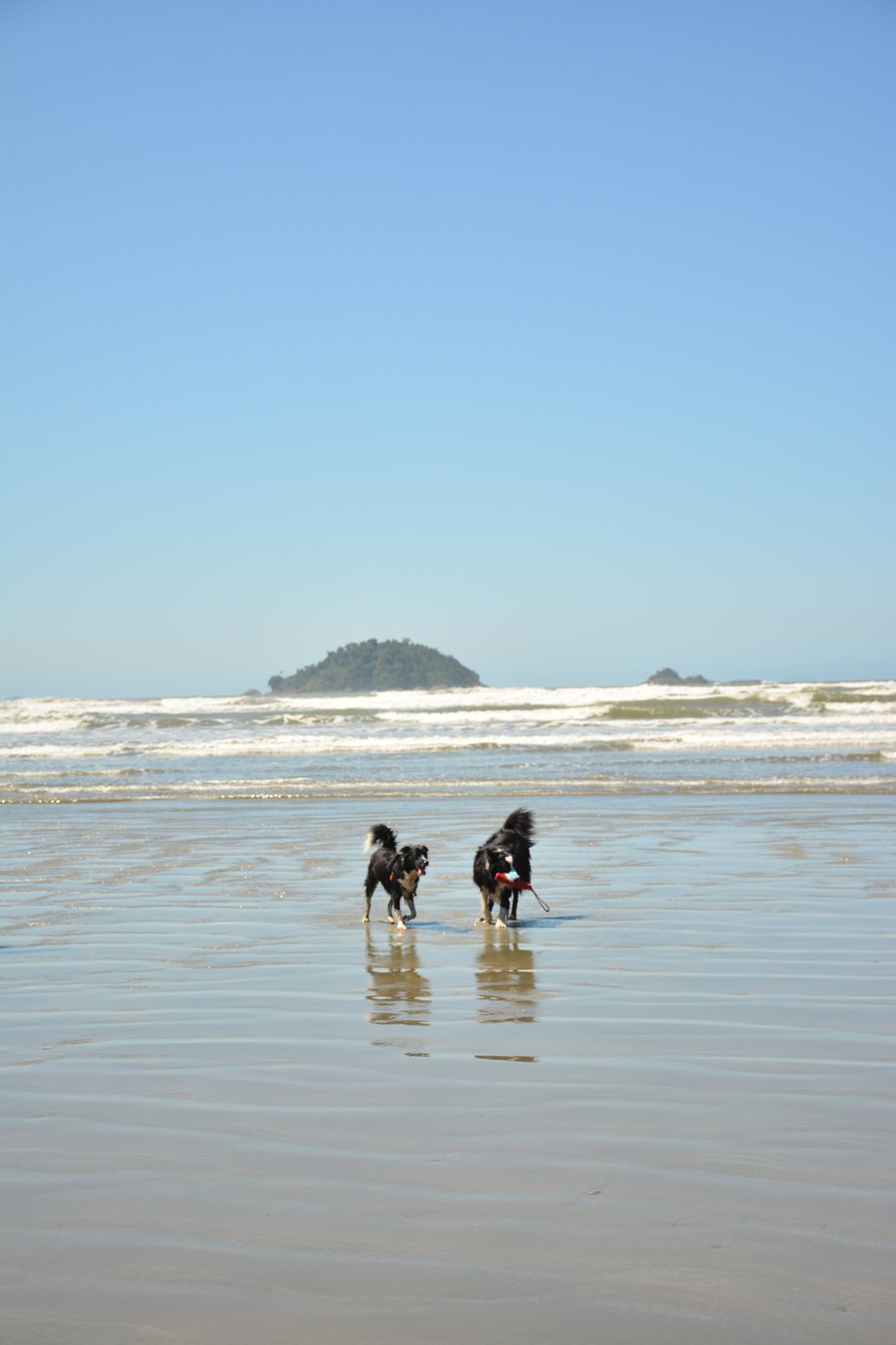 Aventura na praia Peruíbe pet friendly trilha, barco, pousada 
