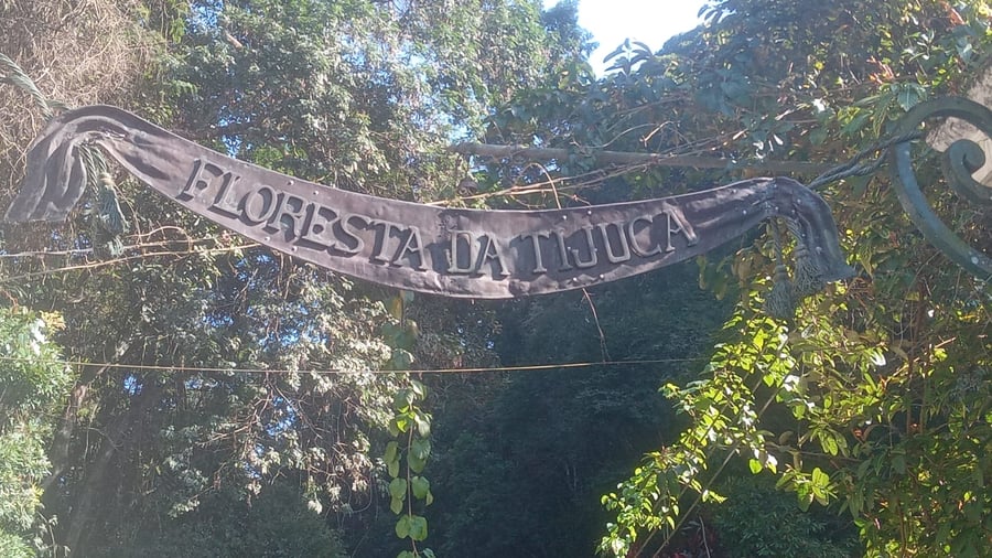 Venha desbravar a Floresta da Tijuca, a maior Floresta Urbana do mundo, com área equivalente a 7% do total da cidade do Rio de Janeiro. Neste passeio, você verá os seguintes pontos: Pedra da Gávea, Cascata Taunay, Centro de Visitantes, Capela Mayrink, Vista Chinesa, entre outros.