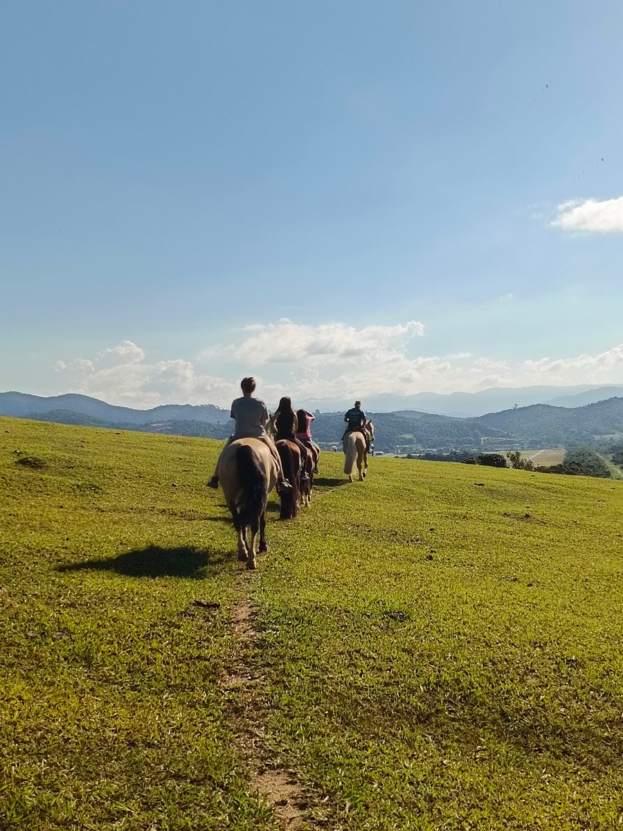 Passeio a Cavalo Por do Sol nas Campinas do Jordão 