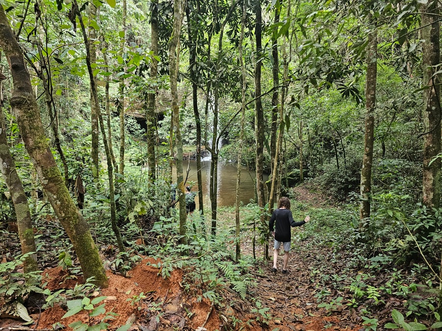 Safari do Macaco Doido em São Bartolomeu