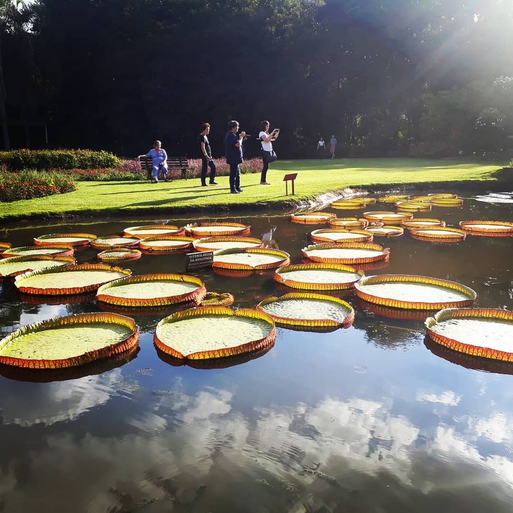 23/04 Jardim Botânico Plantarium e Cultura Leta em Nova Odessa