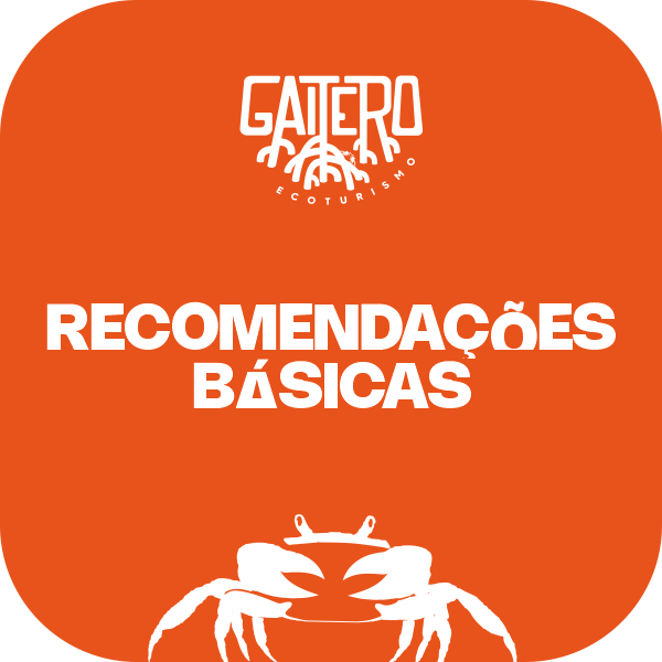 Recomendações básicas