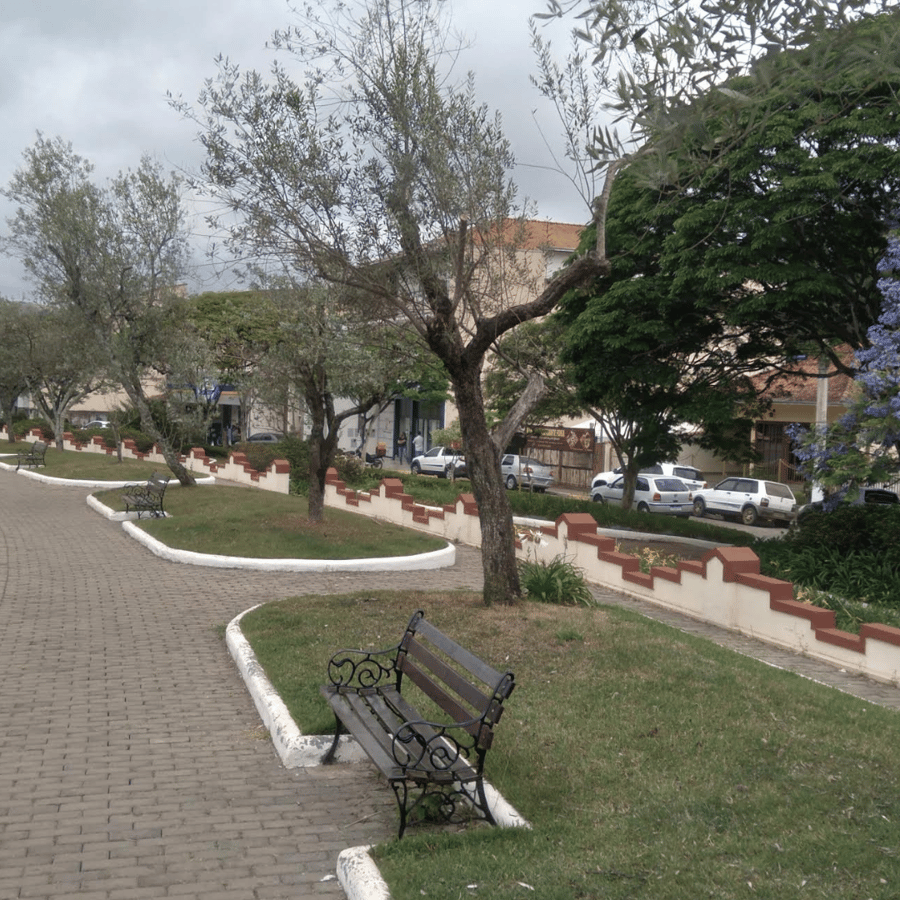 Alameda ds oliveiras