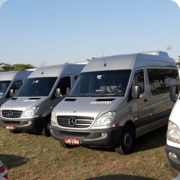 Excursão Privativa de meio dia 