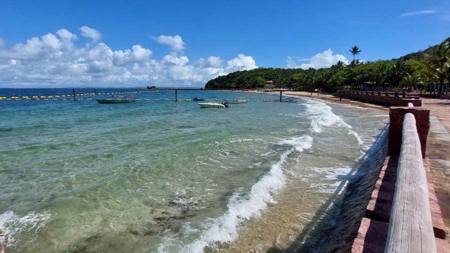  Black Friday Passeio de Escuna Só Ilha dos Frades Praia Ponta de Nossa Senhora 