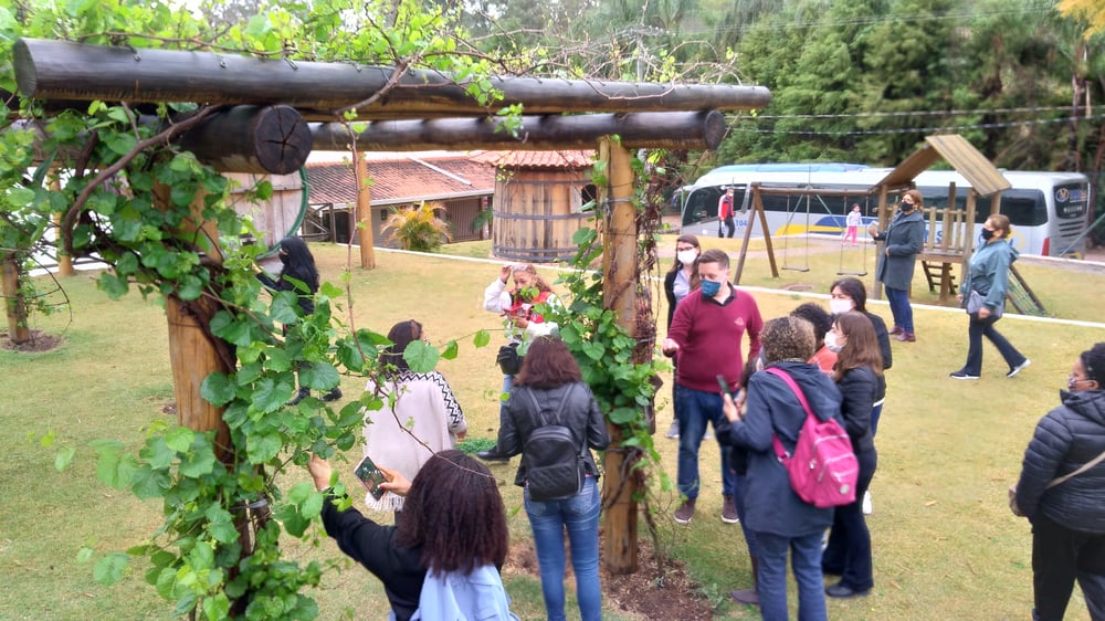Roteiro do Vinho e Festa da Uva em Jundiái