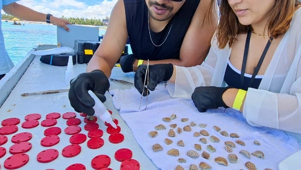 Propósito Recifal: uma experiência única com jangada, flutuação, coral e ciência