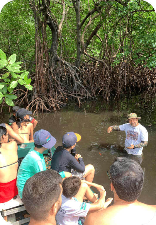 Descubra o Mangue de Maracaípe: Um Passeio Imperdível em Porto de Galinhas - Pernambuco - Brasil