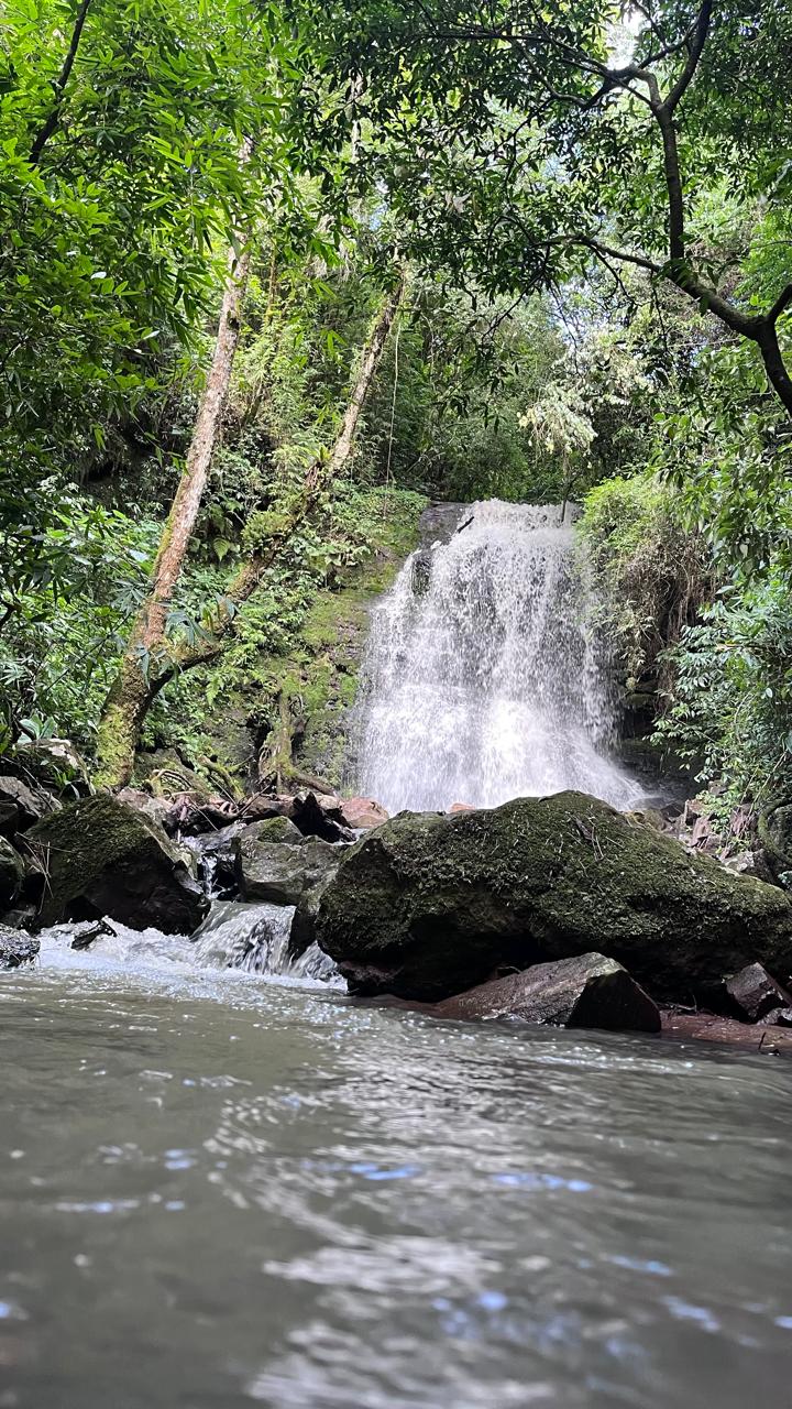 Trilha Cascata do Mel
