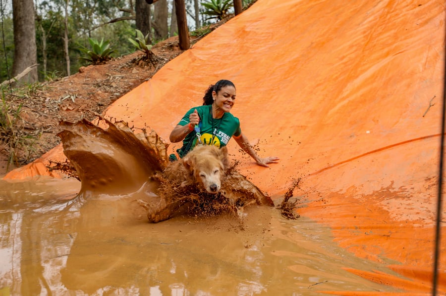 Desafio Feras Pet Friendly