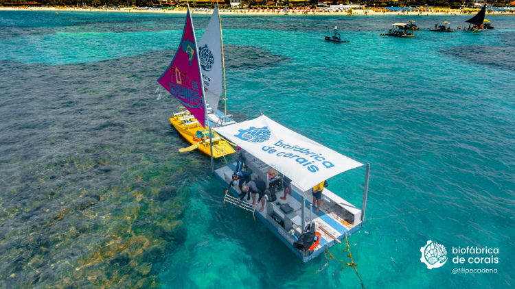 Balsa flutuante da Biofábrica de Corais, onde são realizados os cutivos