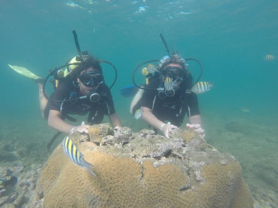 Turistas explorando corais e peixes tropicais nas águas da Bahia