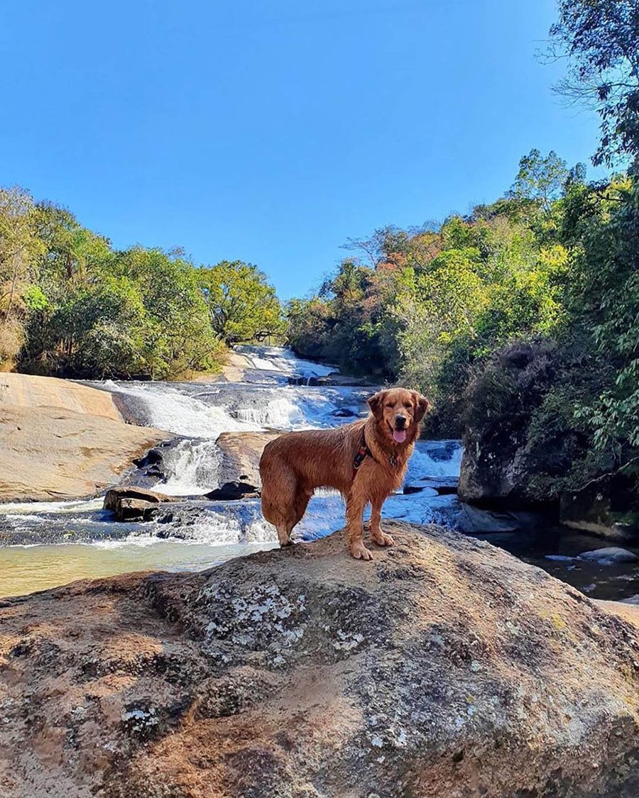 Day Use Hotel Fazenda Parque dos Sonhos