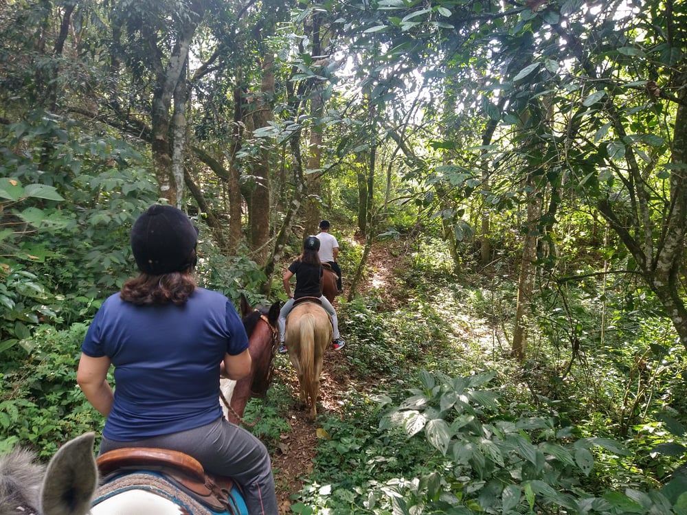 Passeio a Cavalo - Roteiro 02 - Pico da fazenda