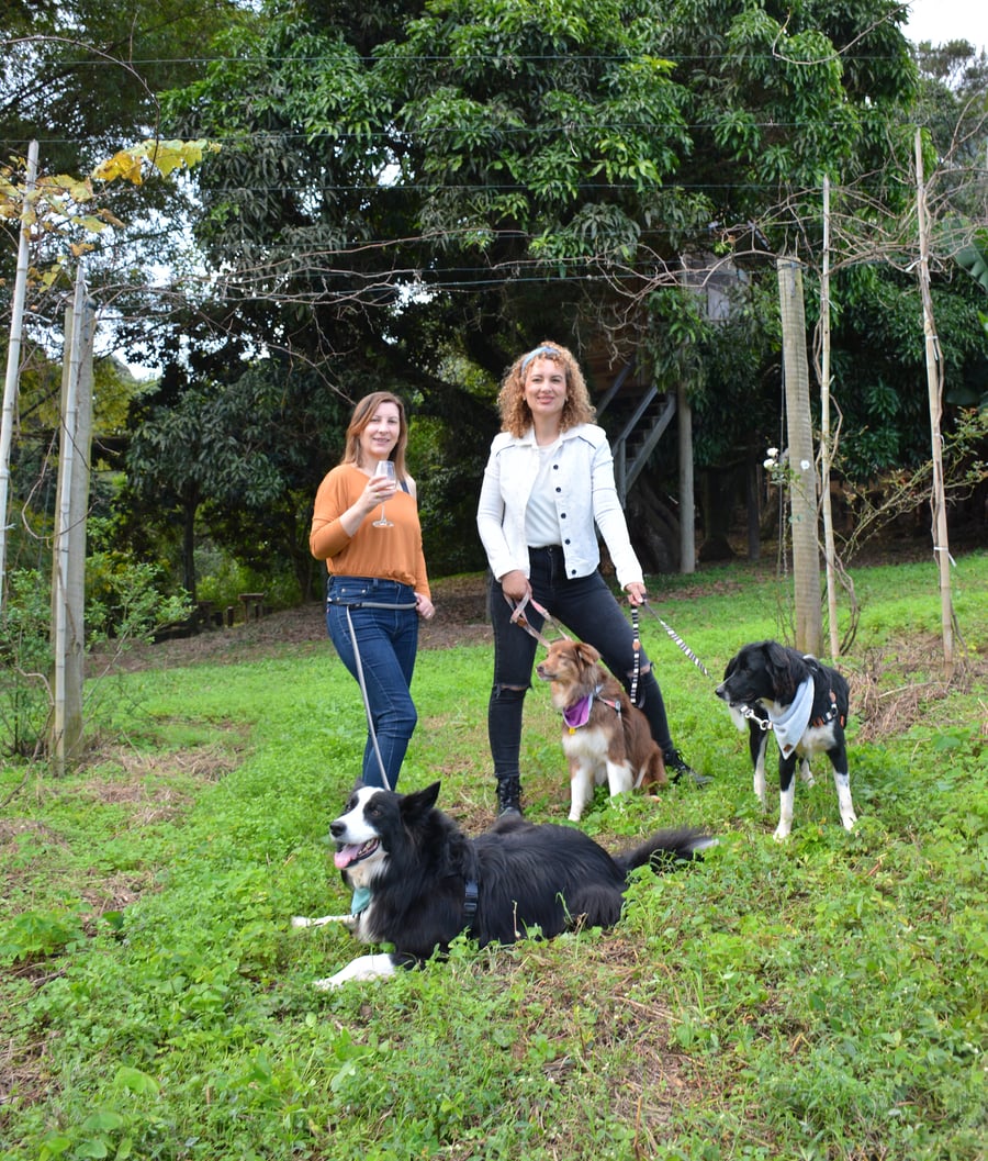 Trilha Pet + Degustação de Vinhos e Almoço na Vinícola Saccomani
