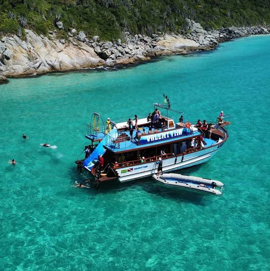 voce  precisan conhecer 