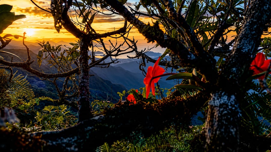 Pico do Corcovado