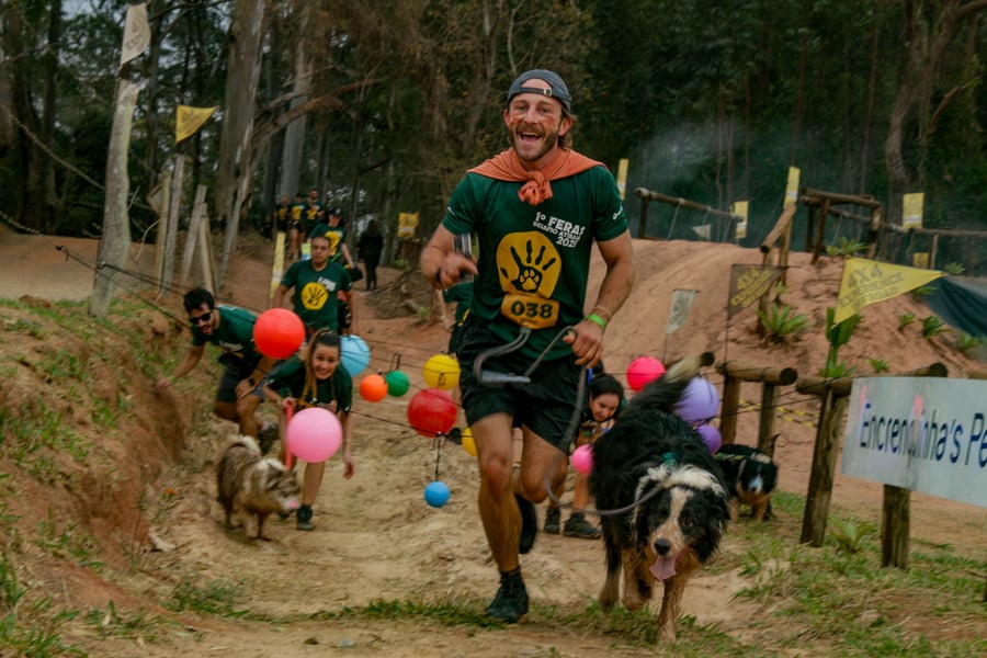 Desafio Feras Pet Friendly