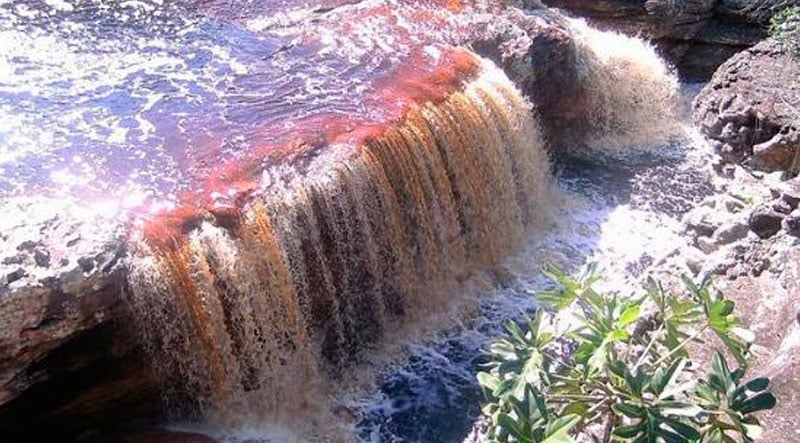 Excursão Chapada Diamantina 3 – Poço Azul