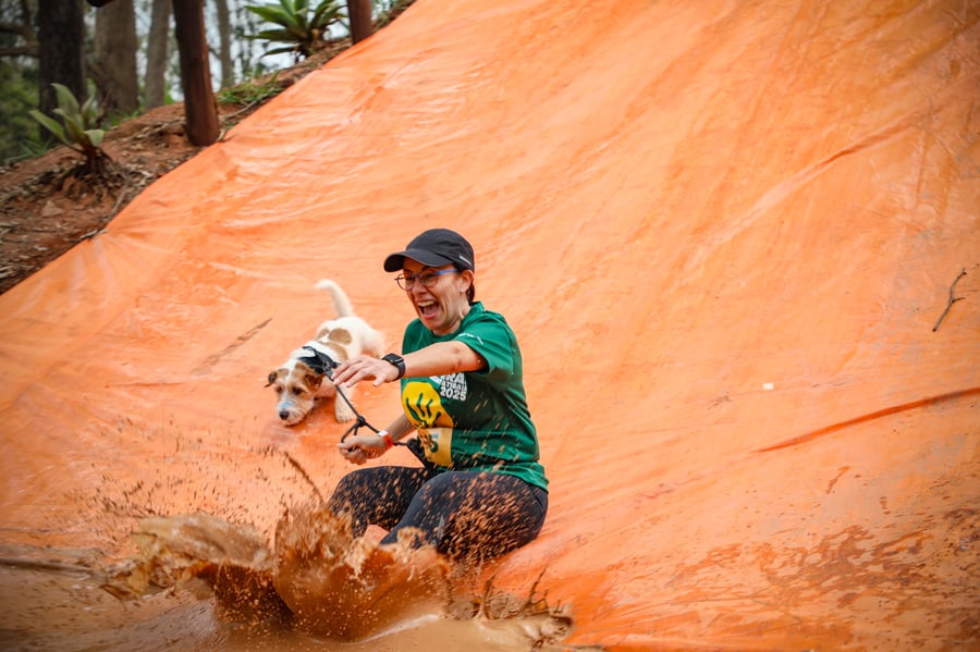 Desafio Feras Pet Friendly