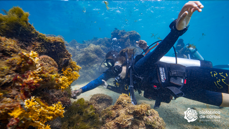 Bioturista mergulhando na área dos recifes de corais em Porto de Galinhas