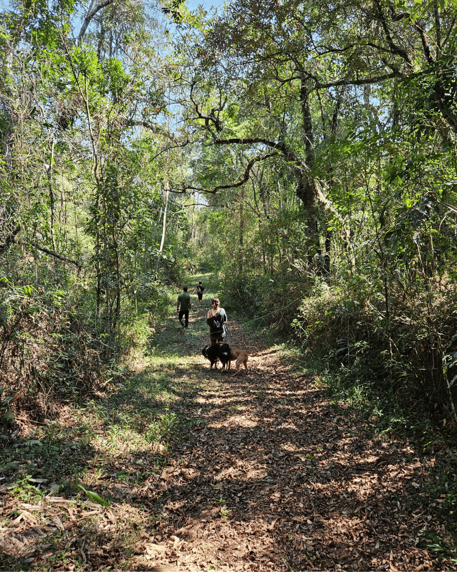 PedraGrande_petfriendly 5