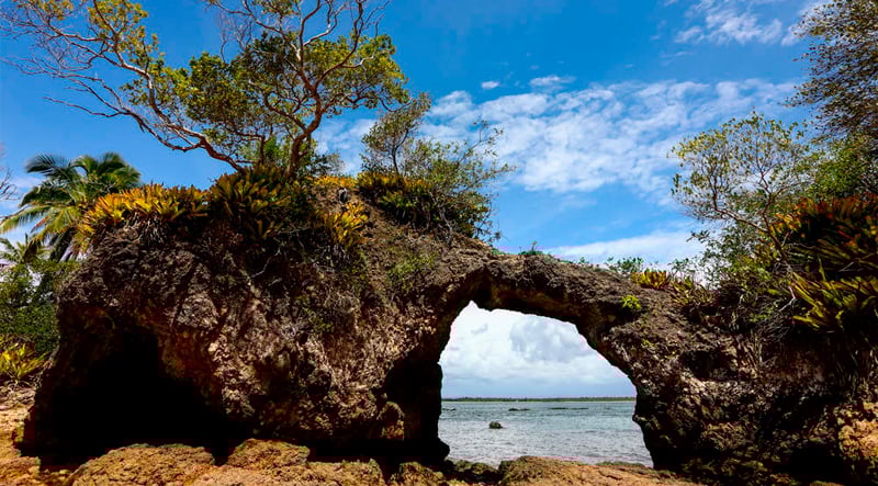 Excursão para Itacaré + Camamu