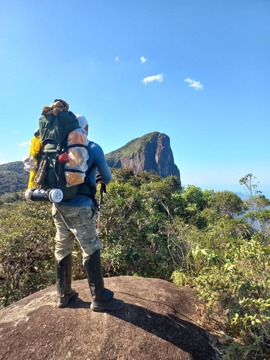 Pico do Corcovado