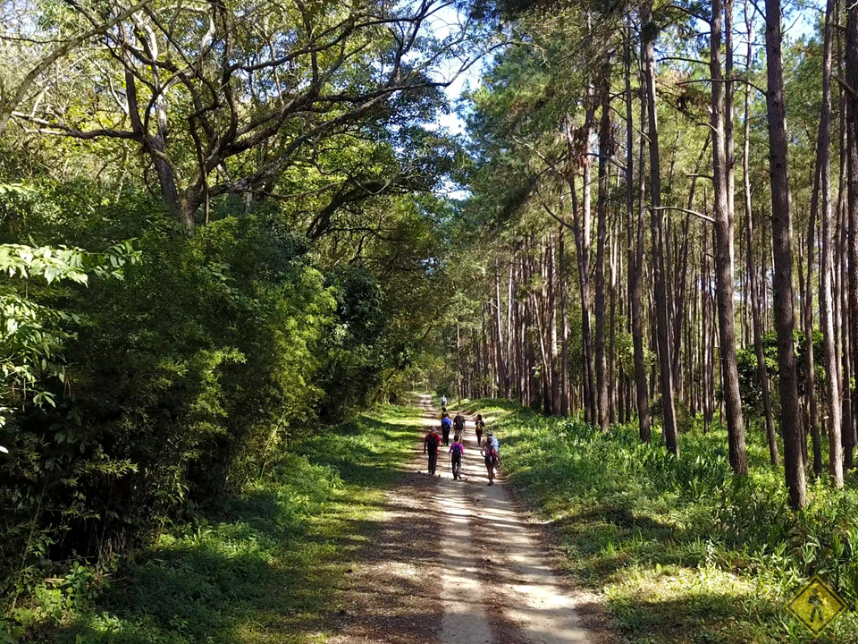 Travessia Da Serra Do Japi II Pt. 