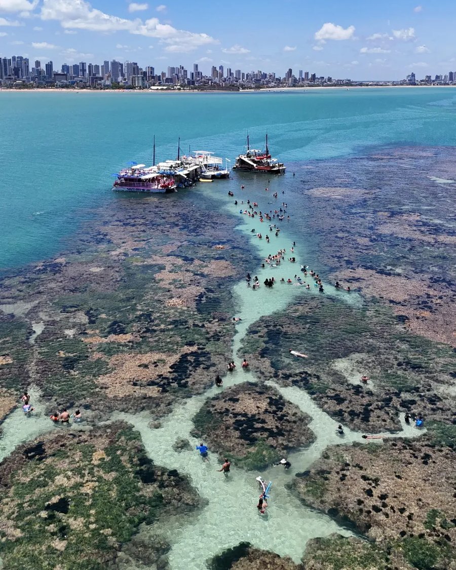 Piscinas Naturais do Picãozinho – Passeio de Catamarã em João Pessoa