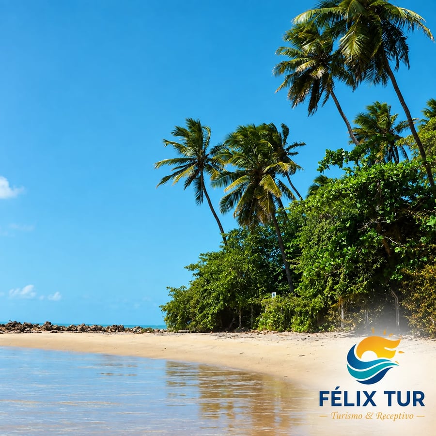 Praia De Coqueirinho 