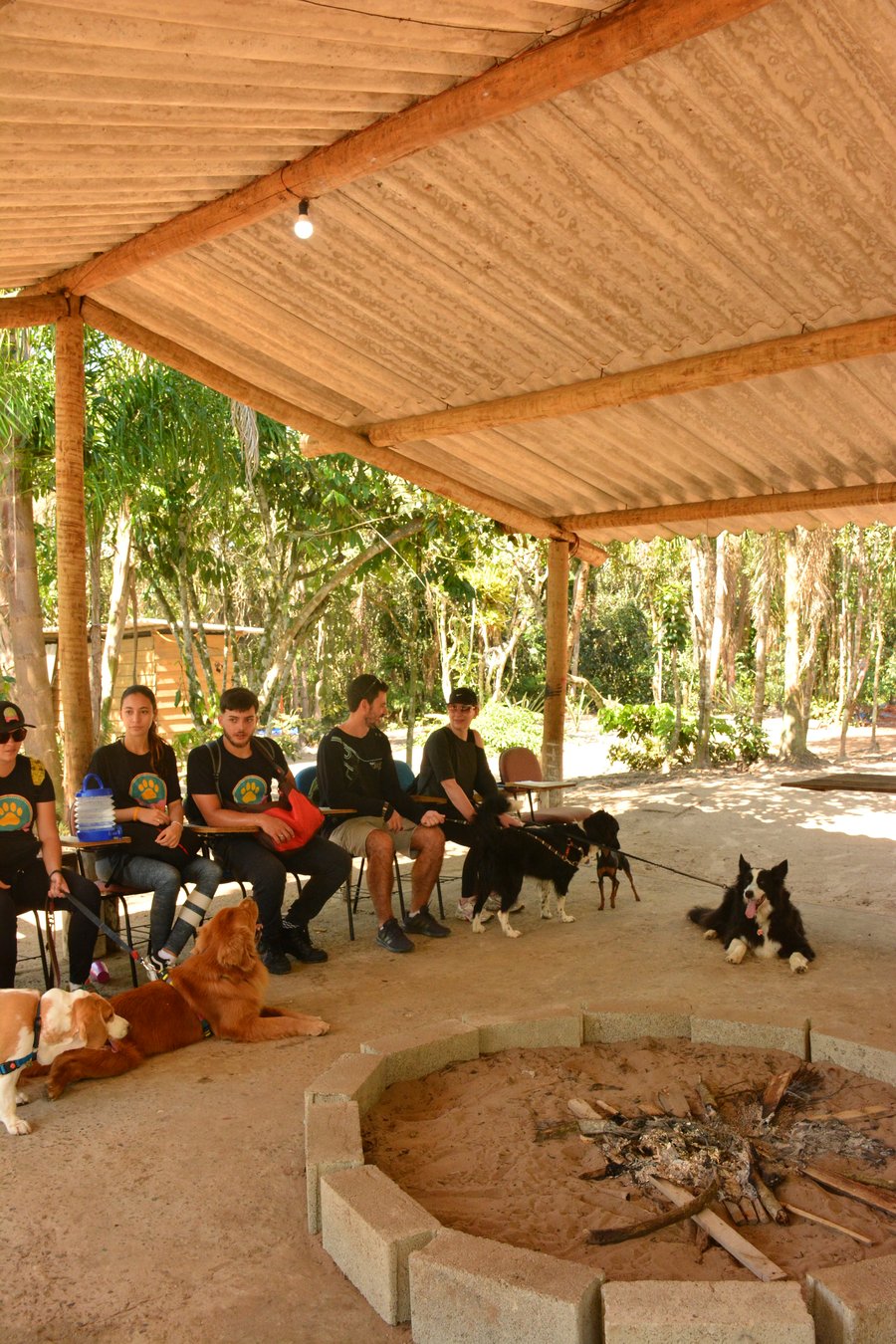 Aventura na praia Peruíbe pet friendly trilha, barco, pousada 