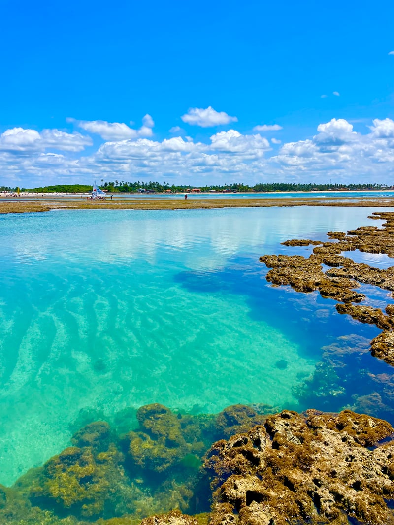 Piscinas naturais de Maracaípe