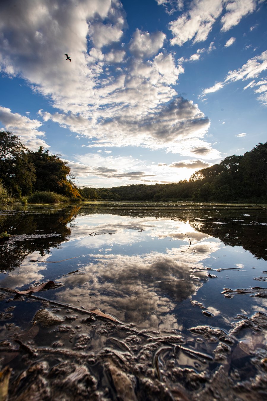 Lagoa Fazenda Samambaia 