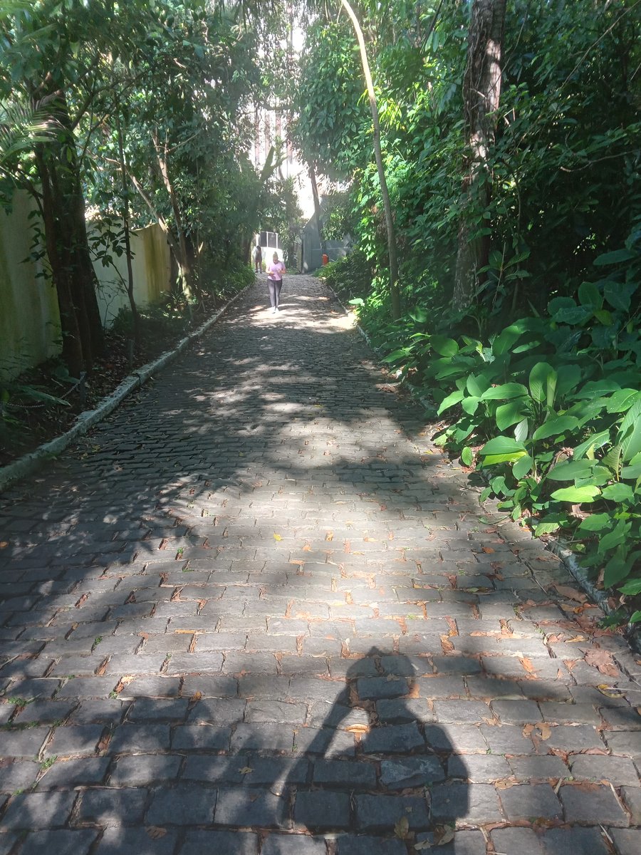 Aqui o cardio fica em dia! Não é academia, mas vai estar bem pago!