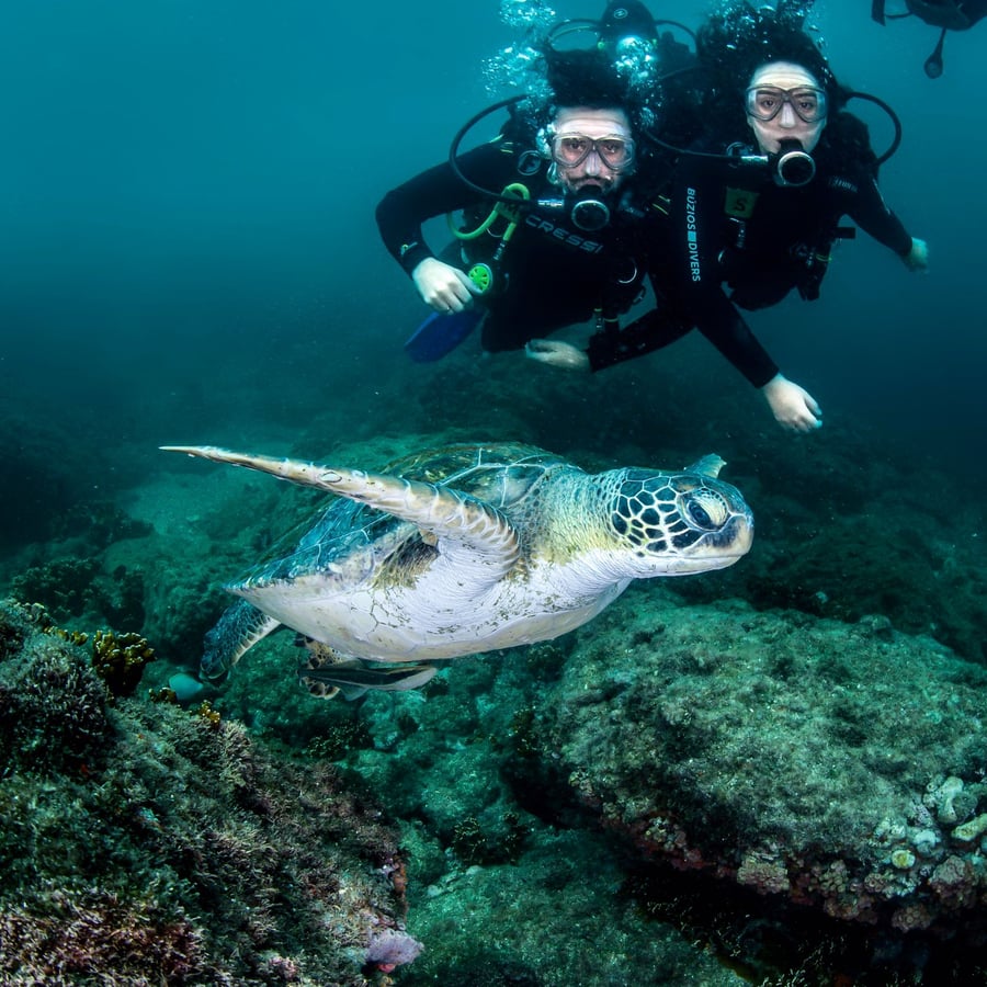 Mergulho com cilindro na Ilha de Âncora (embarcado)