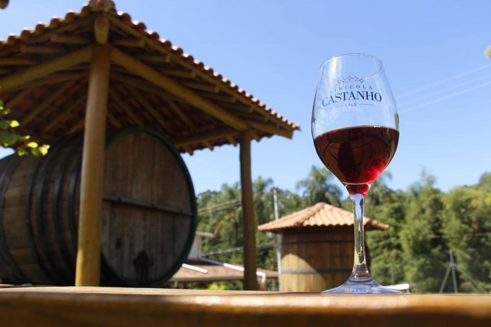 Roteiro do Vinho e Festa da Uva em Jundiái