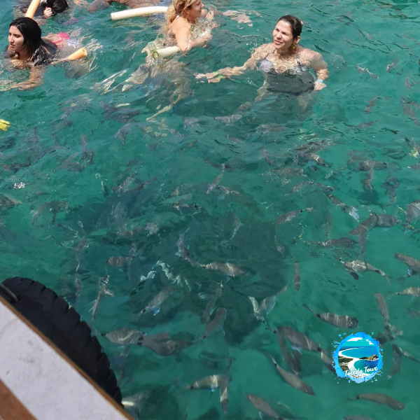 City Tour privado na Ilha Grande Casal