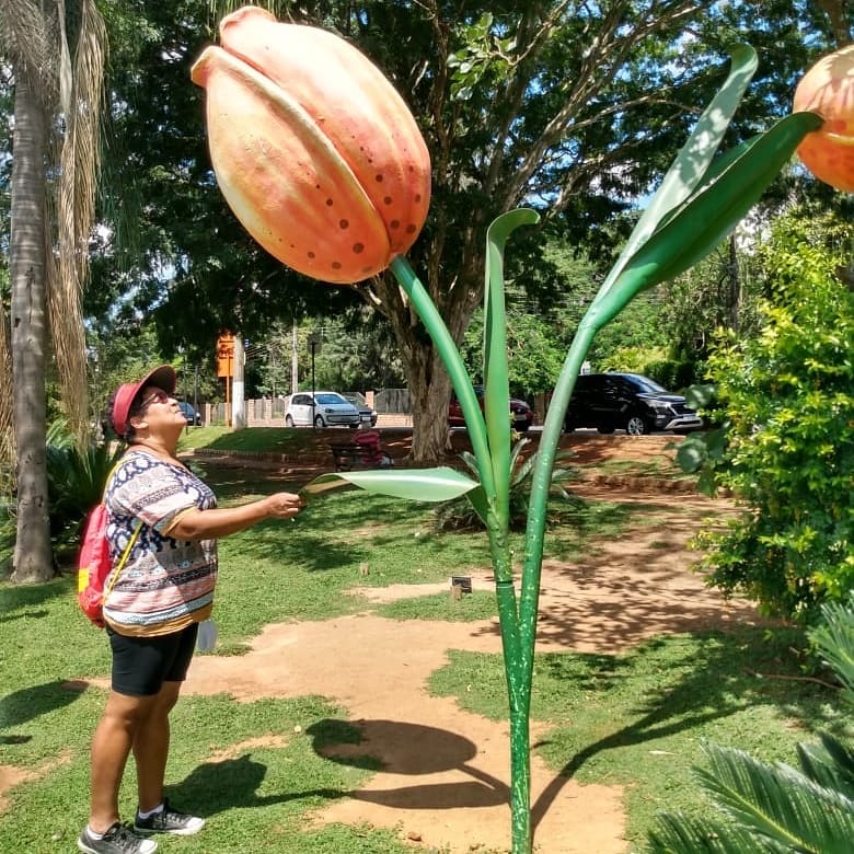 18/02 Holambra, Cidade das Flores 