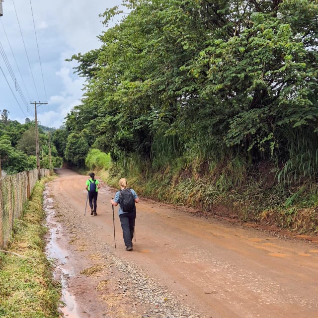 Duas caminhantes com bastões seguindo por uma estrada de terra ladeada por árvores