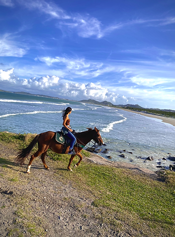 PASSEIO A CAVALO NA PRAIA EM BÚZIOS