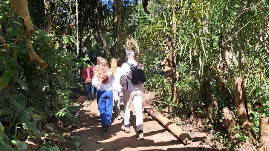 Aldeia de Itamambuca