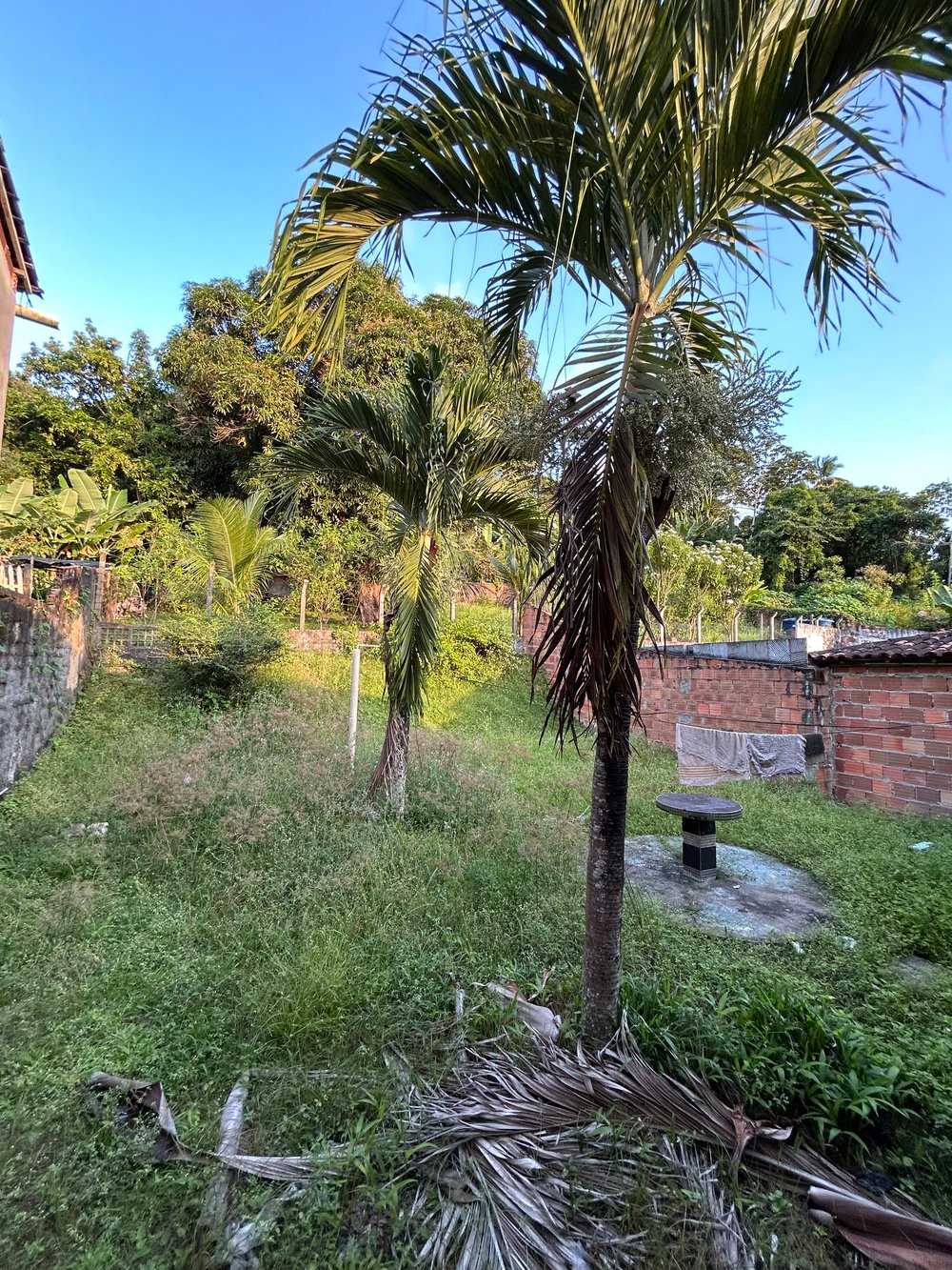 Área de camping descoberta (será tratado antes do evento)