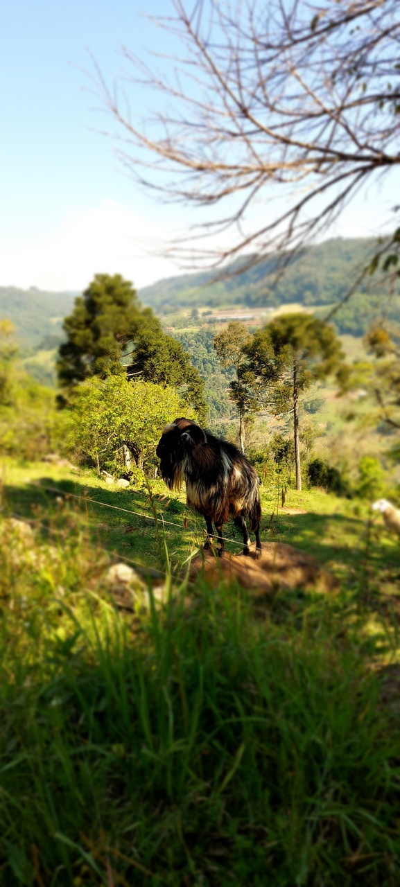 TREKKING EXCLUSIVO PARA CASAIS  ( ALTOS DO MALAKOFF ) 