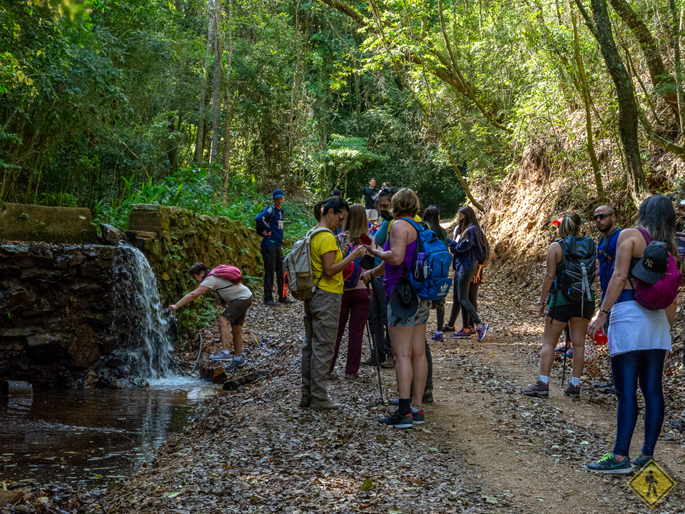 Travessia Da Serra Do Japi II Pt. 
