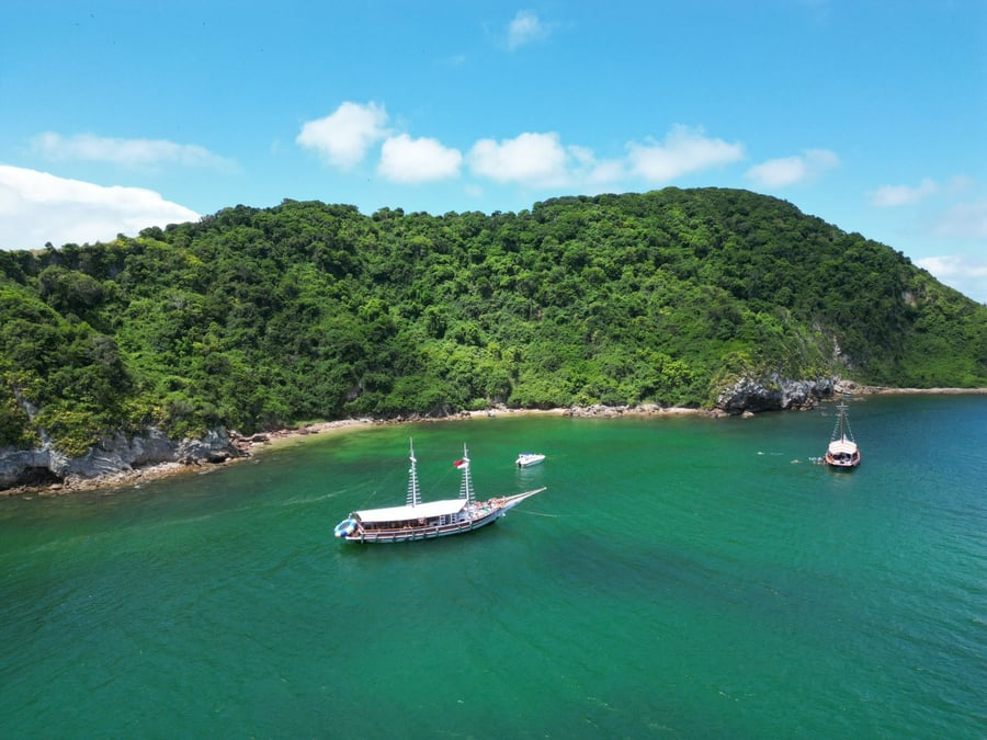 Deixa a brisa te levar!